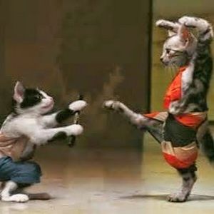 Meet your Posher, Sheila